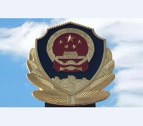 5米警徽